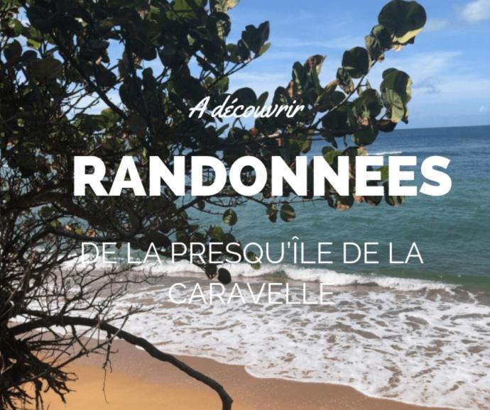 Ananas Premium - Sejour Detente T2 Vue Mer Avec Balcon Prive A Tartane La Trinité Exterior foto